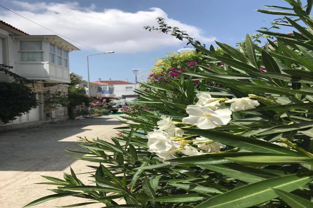 Beyaz Ev Hotel Alaçatı Eksteriør bilde